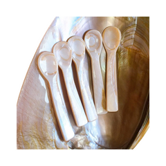 Seashell Spoon 17