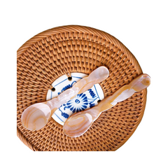 Seashell Spoon 19