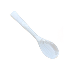 Seashell Spoon 1