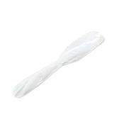 Seashell Spoon 1