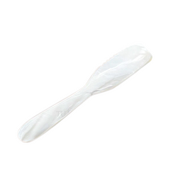 Seashell Spoon 1