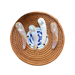 Seashell Spoon 20