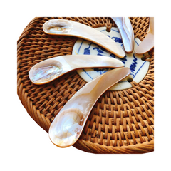 Seashell Spoon 20