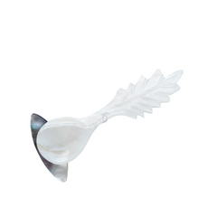 Seashell Spoon 2