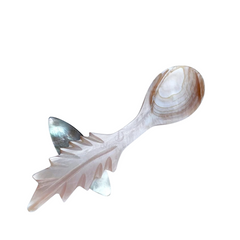 Seashell Spoon 2