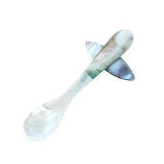 Seashell Spoon 3