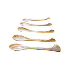 Seashell Spoon 5
