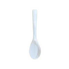 Seashell Spoon 6