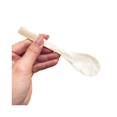 Seashell Spoon 6