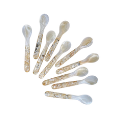 Seashell Spoon 7