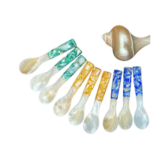 Seashell Spoon 8