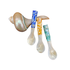 Seashell Spoon 8