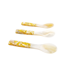 Seashell Spoon 8