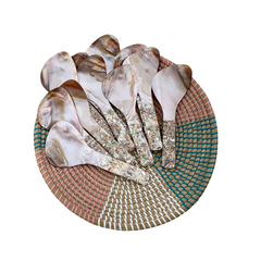 Seashell Spoon 9