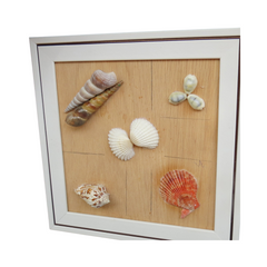Seashell Wall Art 1