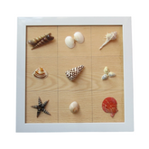 Seashell Wall Art 2
