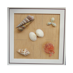 Seashell Wall Art 1