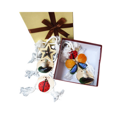 Seashell Wall Decor