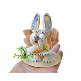 Wide Mouth Rabbit From Sea Snail Shell