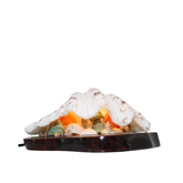 Wooden Base Seashell Lamp