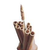 Combo Of 10 Bamboo Straws + 1 Cleaning Brush