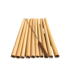 Combo Of 10 Bamboo Straws + 1 Cleaning Brush