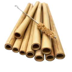 Combo Of 10 Bamboo Straws + 1 Cleaning Brush