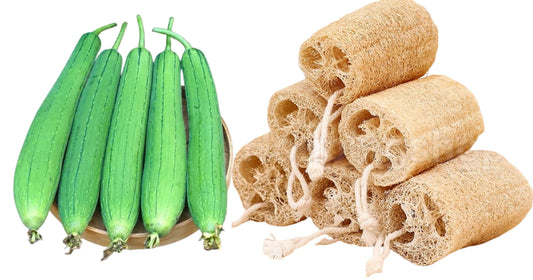 How Loofah Fiber Helps Reduce Microplastics in Your Bathroom