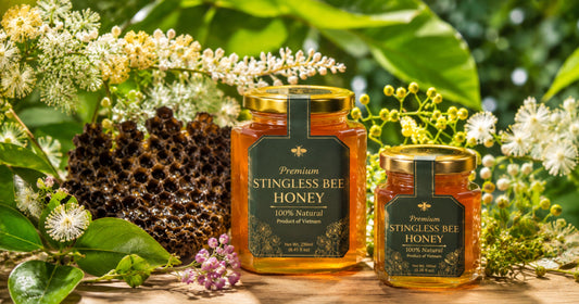 Vietnamese Stingless Bee Honey: Why It’s One Of The Best In The World