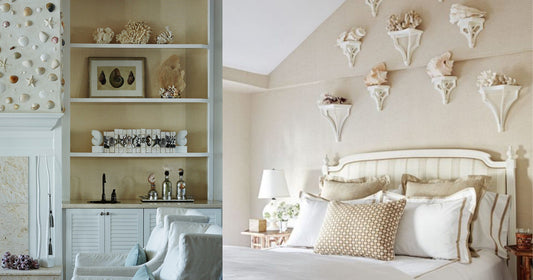 Why Are Sustainable Seashells The Hottest Decor Trend In America And Europe?