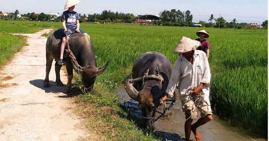 The Art of Buffalo Horn Crafts: From Vietnamese Village to Your Home