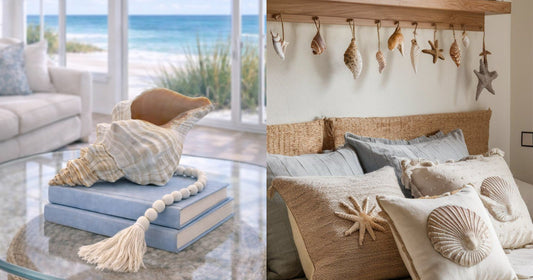 Eco-Friendly Coastal Living: Health & Well-being Benefits of Living with Seashell Decor