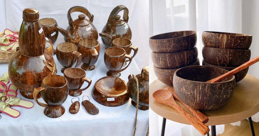 10 Reasons Coconut Shell Products Are Replacing Plastic In US & European Homes