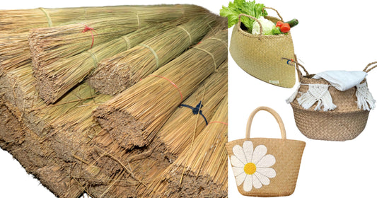 What Is Vietnamese Sedge Grass? The Sustainable Material Behind Timeless Handcrafted Textile Products