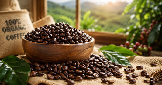 Best Organic Coffee Beans : Top Picks For Health & Flavor