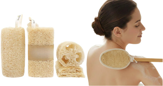From Vietnamese Farm To Your Bathroom : The Journey Of One Loofah
