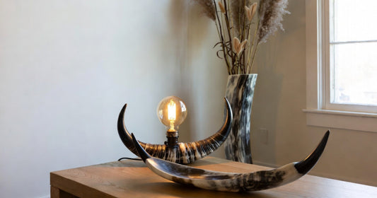 Buffalo Horn Home Decor for Modern Minimalist Homes