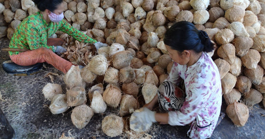 Behind the Scenes: Our Journey Sourcing Ethical Coconut Products from Vietnam