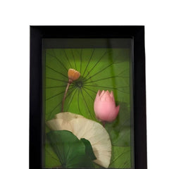3D Dried Lotus Painting 1