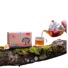 Ancient Shan Tuyet Herbal Tea