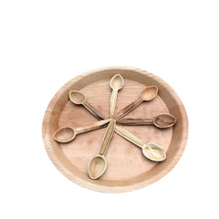 Areca Palm Leaf Spoon