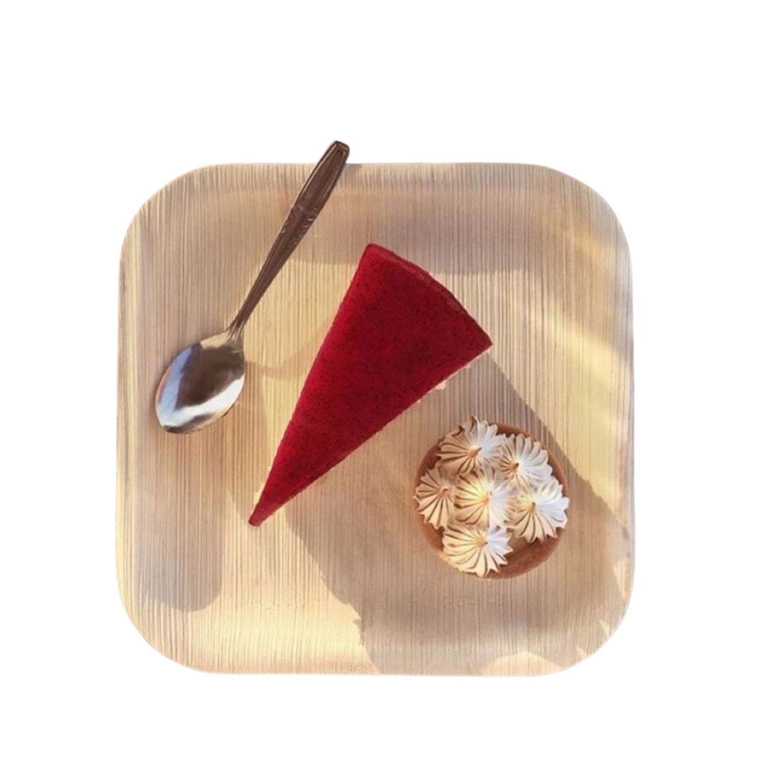 Areca Palm Leaf Square Plate