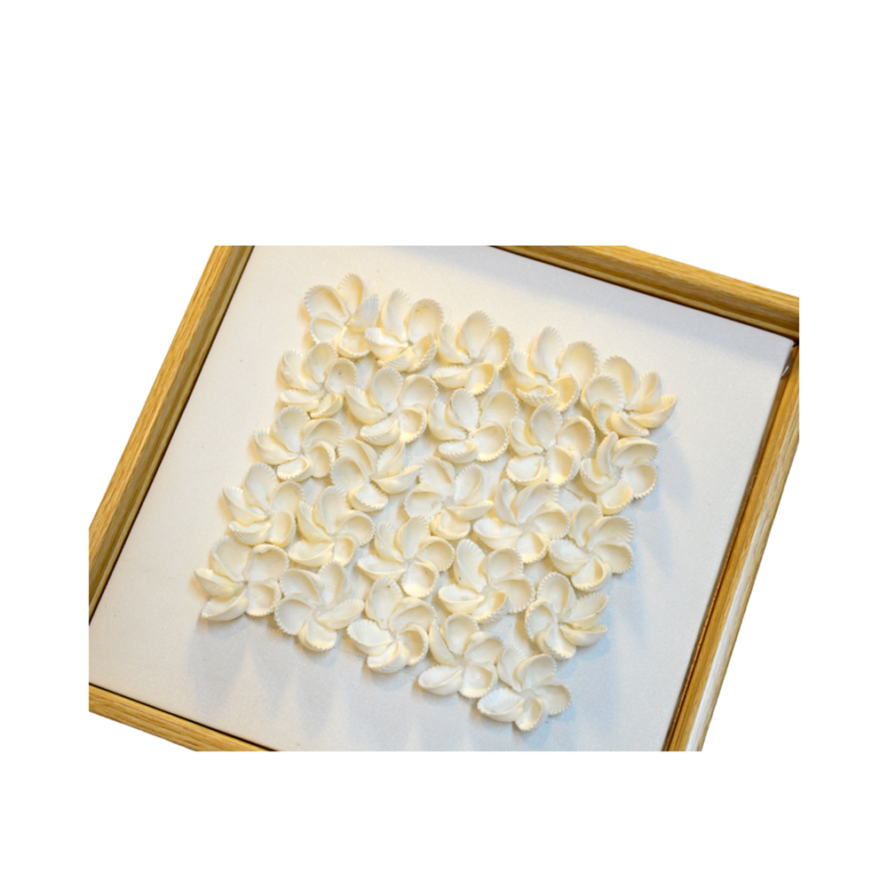 Art Paintings From Seashells 01