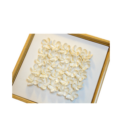 Art Paintings From Seashells 01