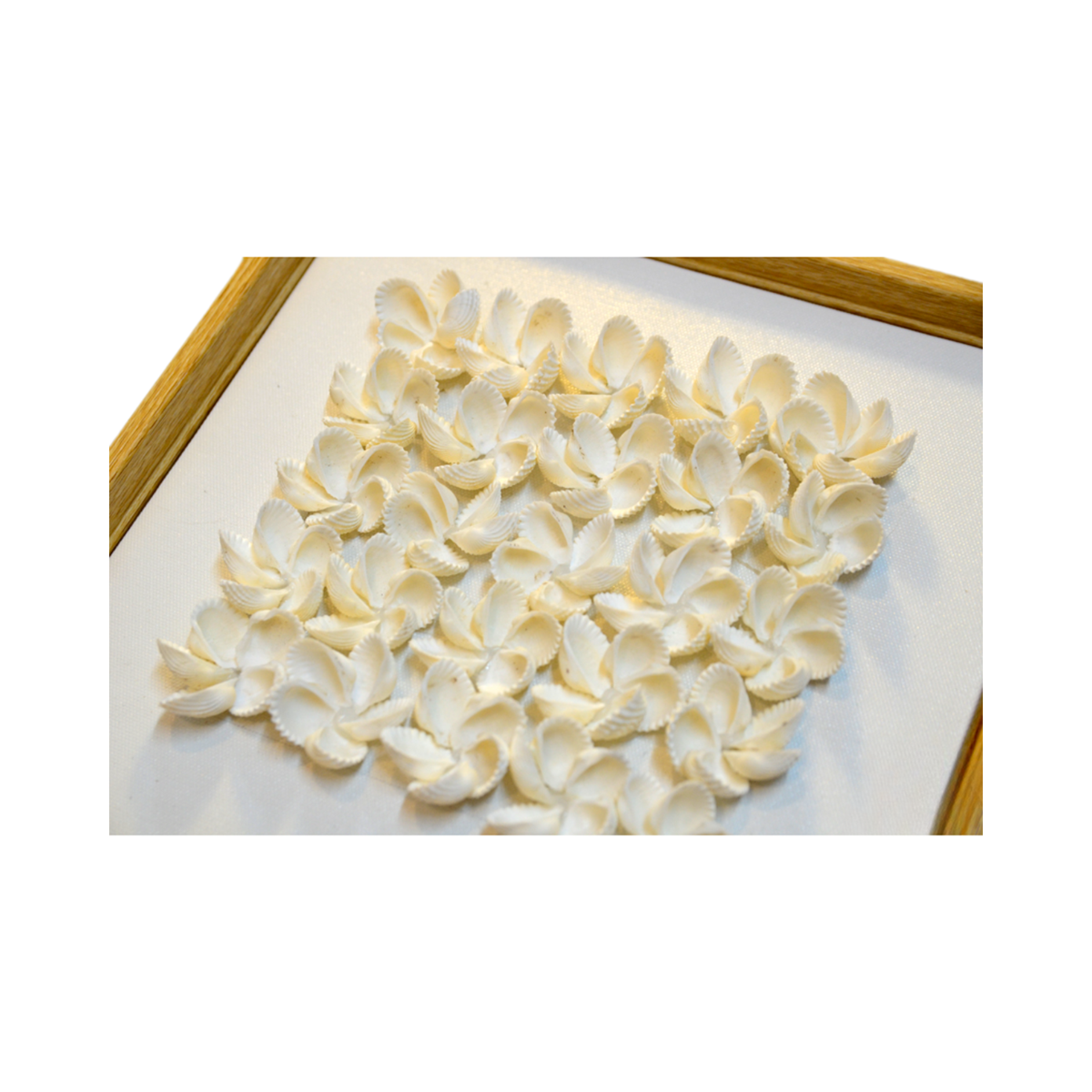 Art Paintings From Seashells 01