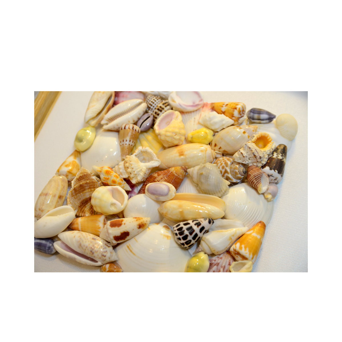 Art Paintings From Seashells 02
