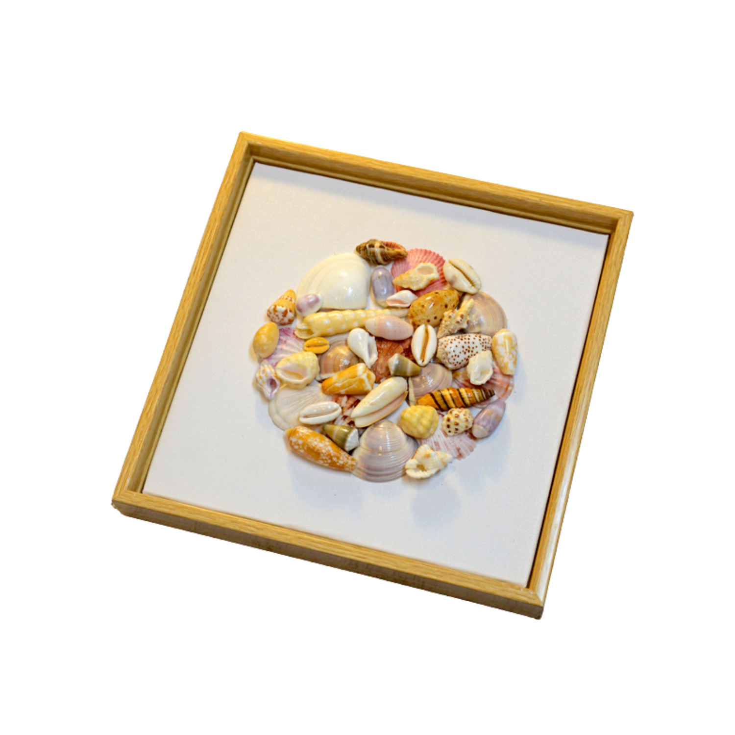 Art Paintings From Seashells 04