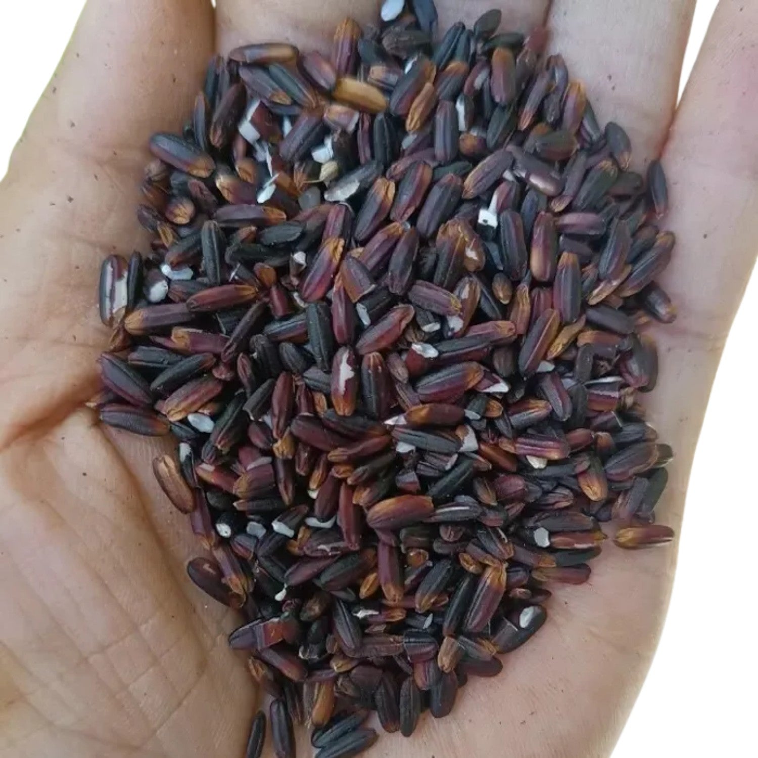 Black Glutinous Rice