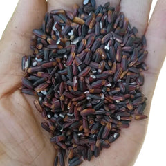 Black Glutinous Rice