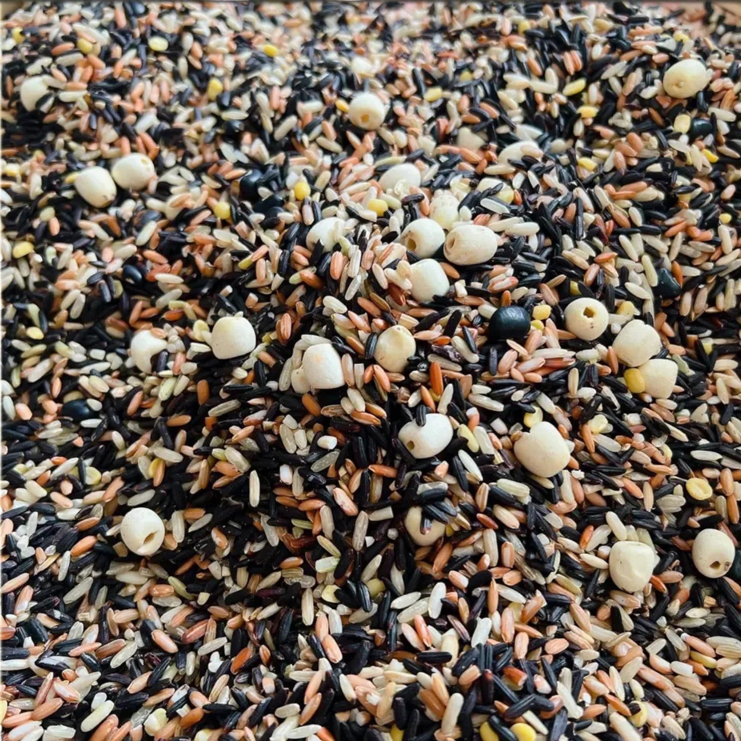 Brown Rice Mixed Grains